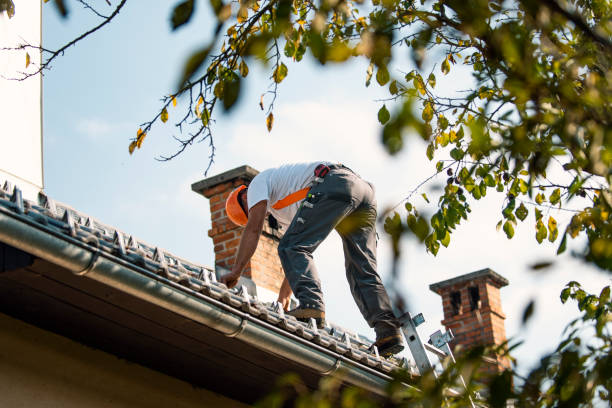 Best Local Roofing Companies  in Lake Holiday, IN