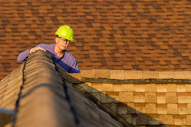 Best Slate Roofing Contractor  in Lake Holiday, IN